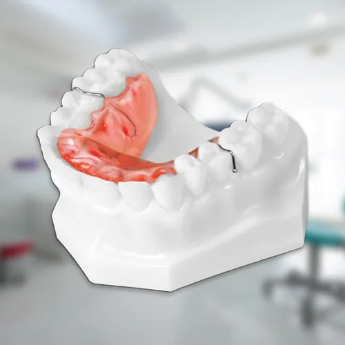 bite-plate-in-a-lower-jaw-model